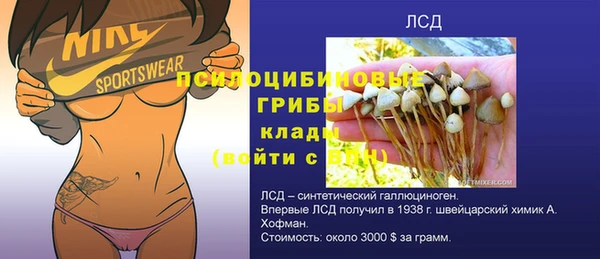 хмурый Липки