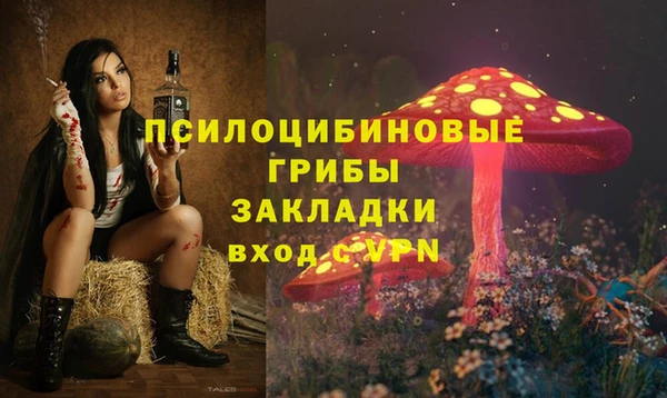 хмурый Новочеркасск