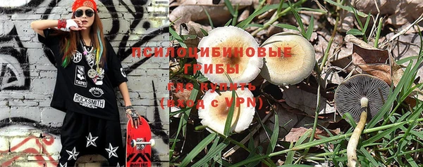 хмурый Липки