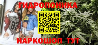 гидропоника Балахна