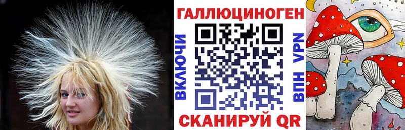 Псилоцибиновые грибы Psilocybine cubensis  darknet официальный сайт  Североморск  наркотики 