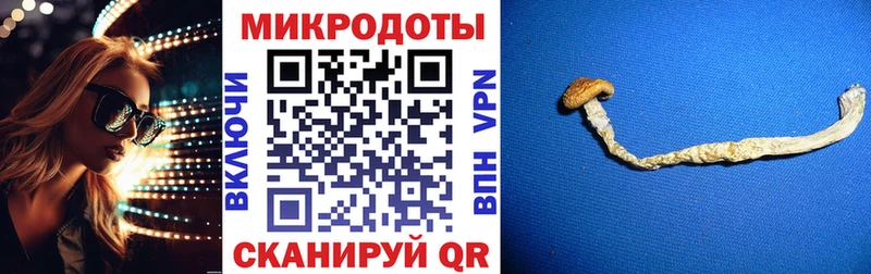 Галлюциногенные грибы Cubensis Североморск